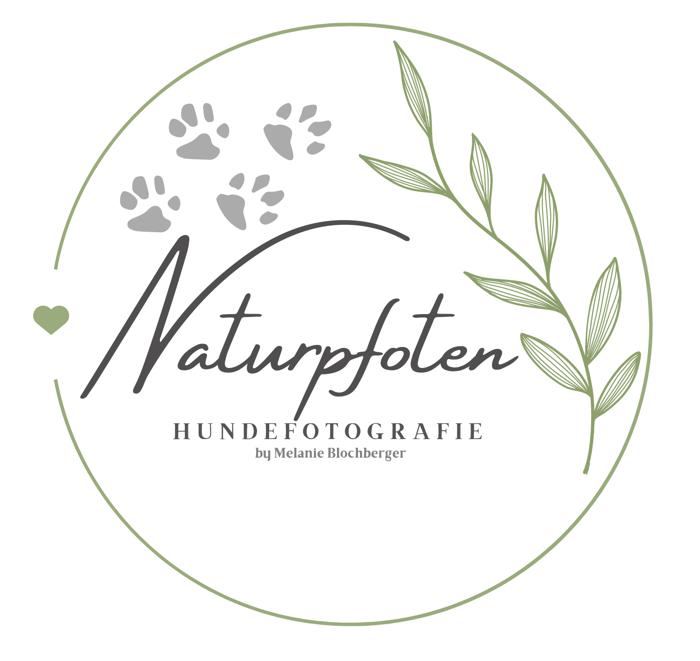 Naturpfoten Hundefotografie